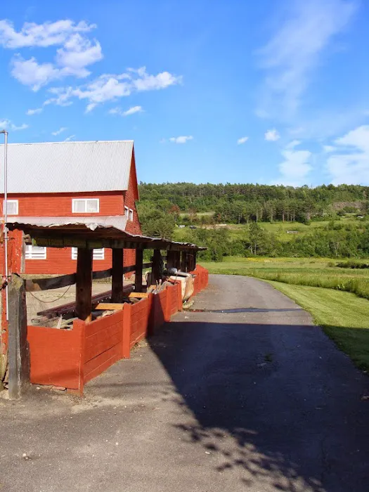 Clover Acres Livestock Veterinary Services Picture 1