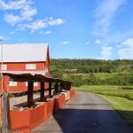 Clover Acres Livestock Veterinary Services