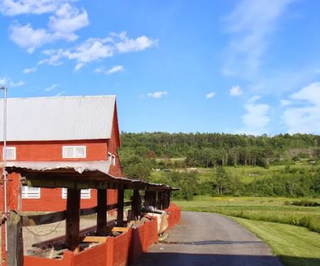 Clover Acres Livestock Veterinary Services