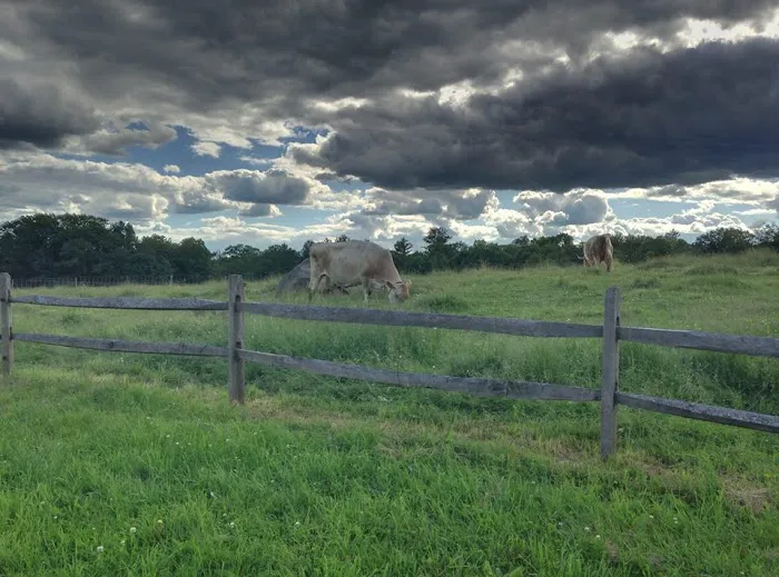 Clover Acres Livestock Veterinary Services Picture 2