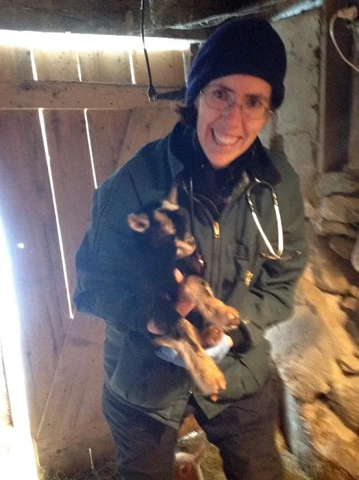 Clover Acres Livestock Veterinary Services Picture 9