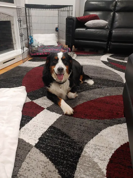 Douglas Animal Hospital LLC Picture 7