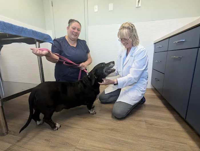 Sutton Animal Hospital Picture 4