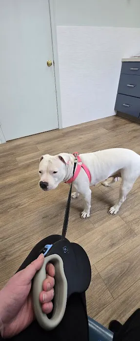 Sutton Animal Hospital Picture 10