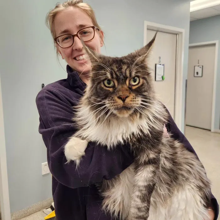Uxbridge Animal Hospital Picture 4