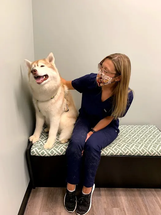 Uxbridge Animal Hospital Picture 6
