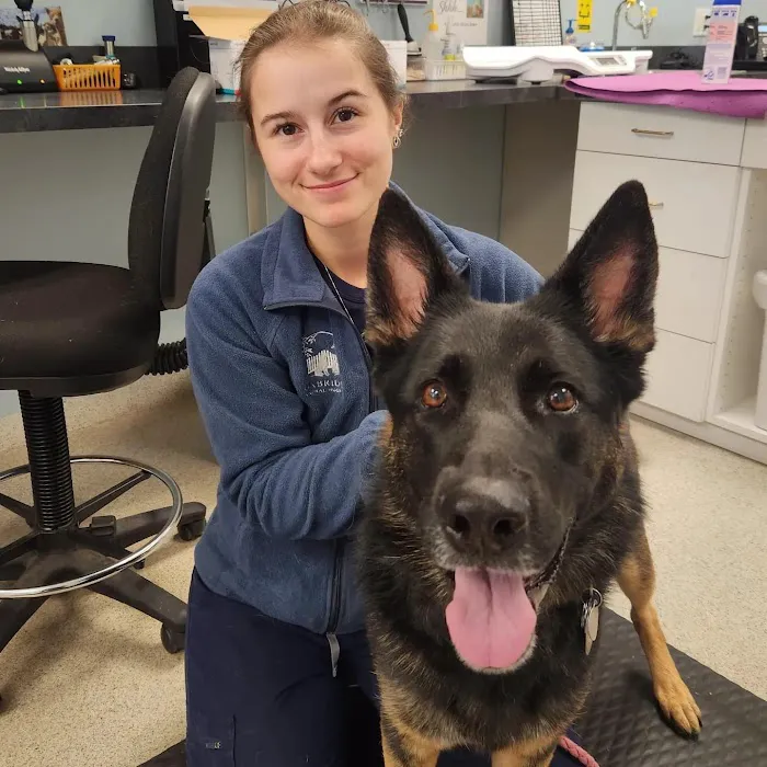 Uxbridge Animal Hospital Picture 9