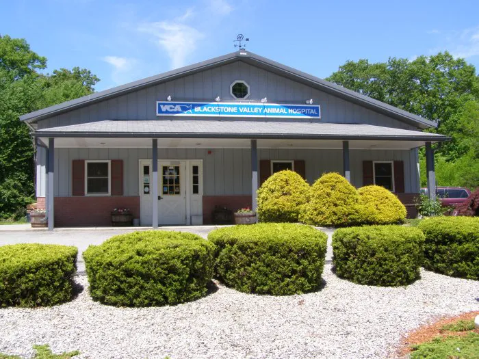 VCA Blackstone Valley Animal Hospital Picture 1