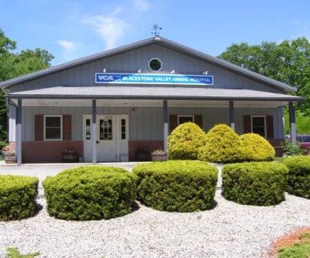 VCA Blackstone Valley Animal Hospital