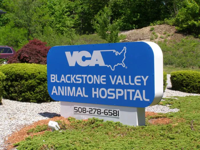 VCA Blackstone Valley Animal Hospital Picture 9