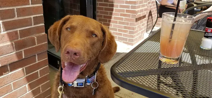 VCA Blackstone Valley Animal Hospital Picture 10