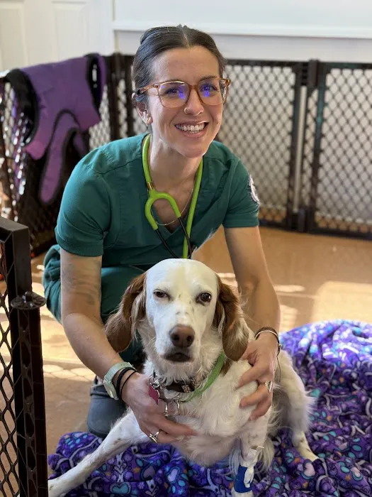 Baystate Mobile Veterinary Services Picture 1