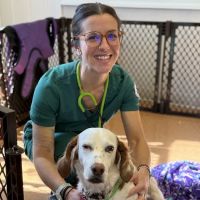 Baystate Mobile Veterinary Services ico