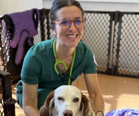Baystate Mobile Veterinary Services
