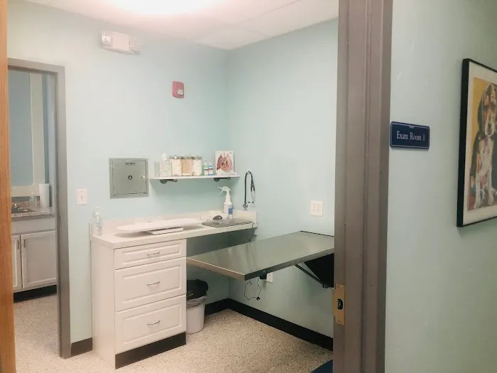 Second Chance Animal Services Community Veterinary Hospital Picture 3