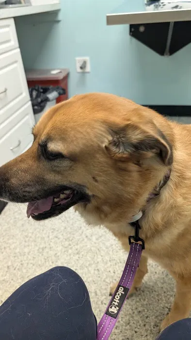 Second Chance Animal Services Community Veterinary Hospital Picture 9