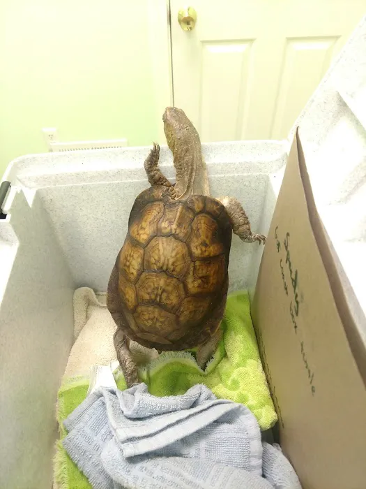 Southbridge Veterinary Hospital Picture 3