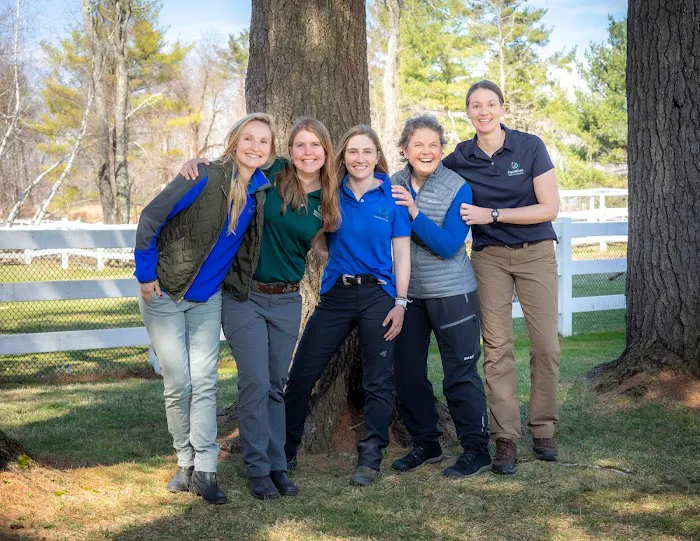 Equine Veterinary Services | EquidDoc Veterinary Services, LLC Picture 3
