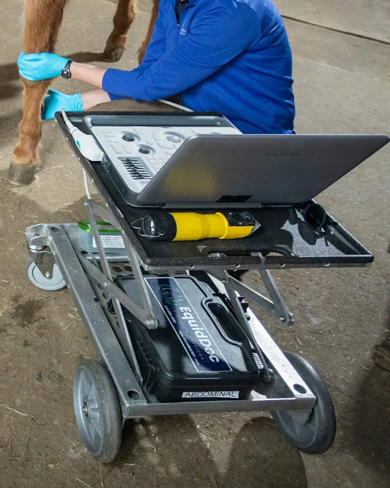 Equine Veterinary Services | EquidDoc Veterinary Services, LLC Picture 1