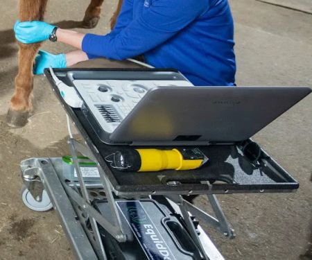 Equine Veterinary Services | EquidDoc Veterinary Services, LLC