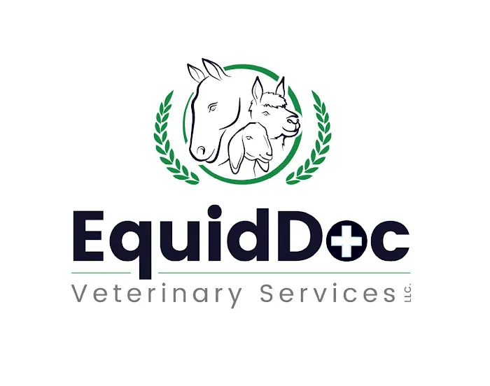 Equine Veterinary Services | EquidDoc Veterinary Services, LLC Picture 5