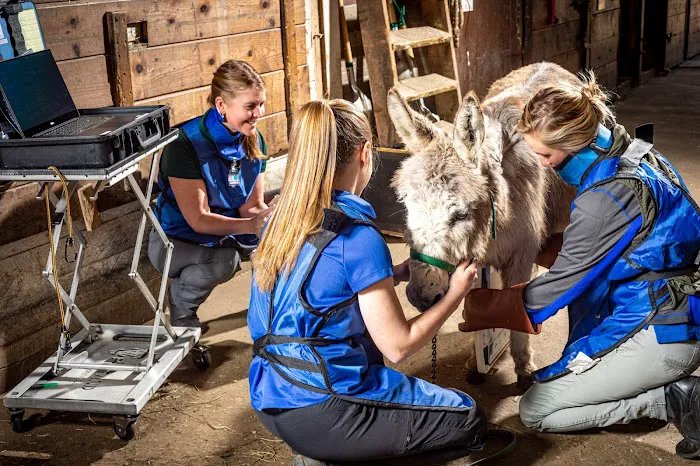 Equine Veterinary Services | EquidDoc Veterinary Services, LLC Picture 4