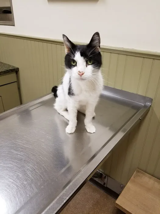 Post Road Veterinary Hospital Picture 2