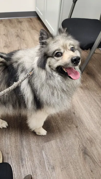 Post Road Veterinary Hospital Picture 1