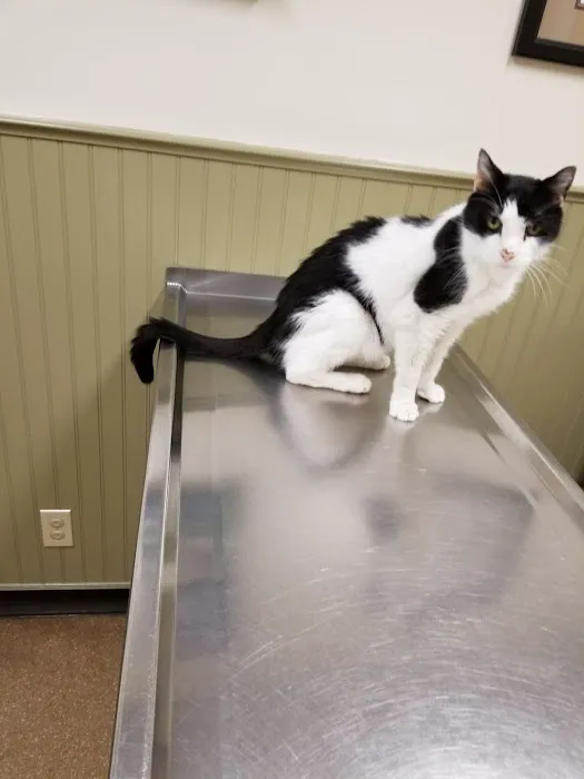 Post Road Veterinary Hospital Picture 9