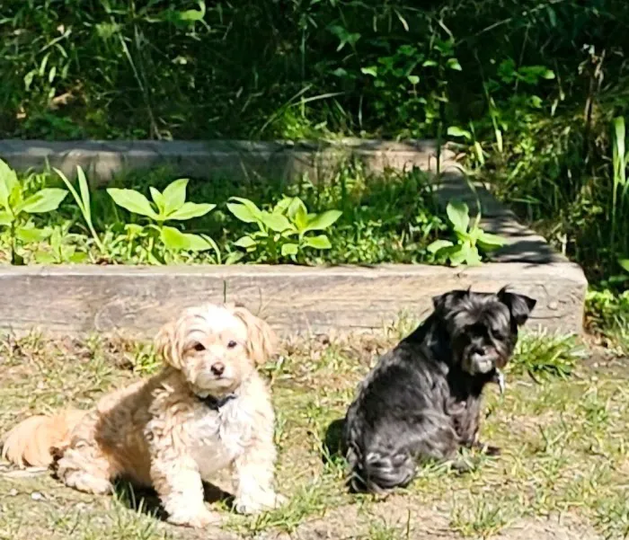 Post Road Veterinary Hospital Picture 7