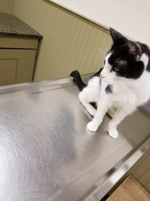 Post Road Veterinary Hospital Picture 10