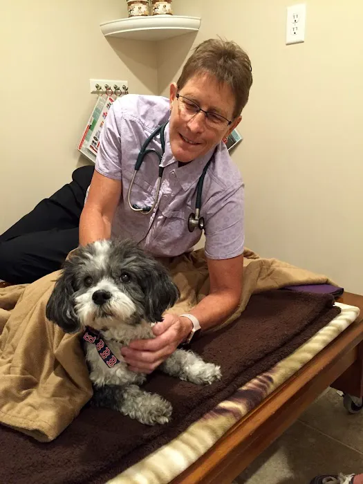 WagMore Veterinary Care Picture 2