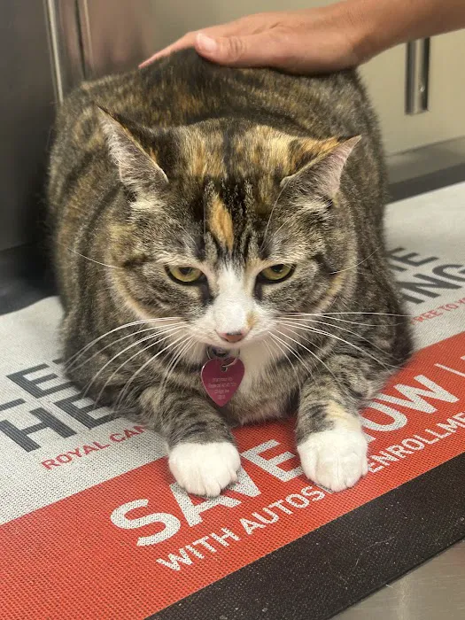 North Kingstown Animal Hospital Picture 4