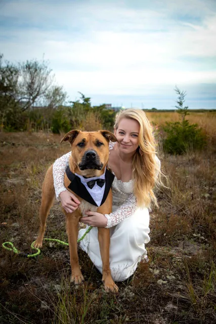 North Kingstown Animal Hospital Picture 5
