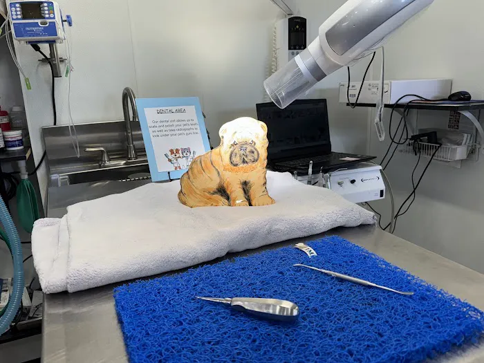 North Kingstown Animal Hospital Picture 7
