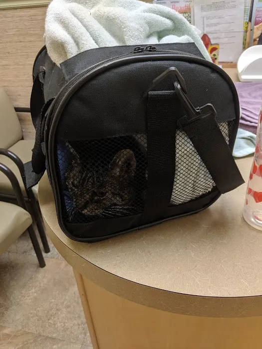 Veterinary Healing Arts Picture 7