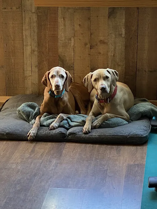 Greenwich Valley Vet Clinic Picture 4