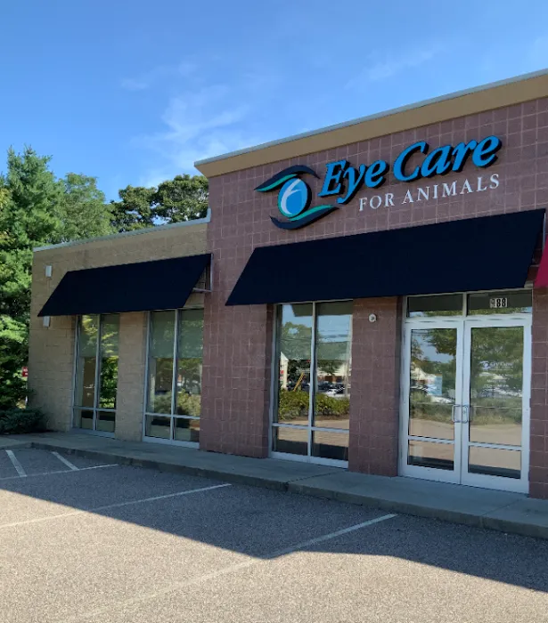 Eye Care for Animals - Warwick Picture 6