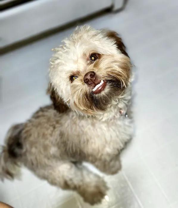 Banfield Pet Hospital Picture 5