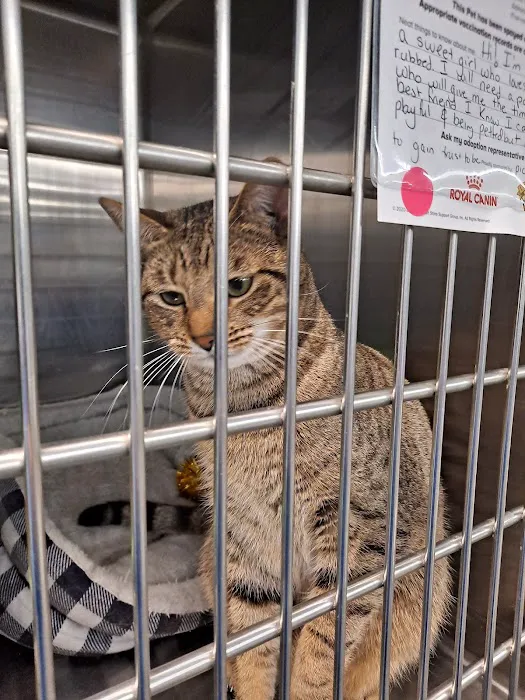 Banfield Pet Hospital Picture 2