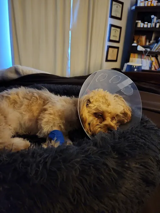 Banfield Pet Hospital Picture 9