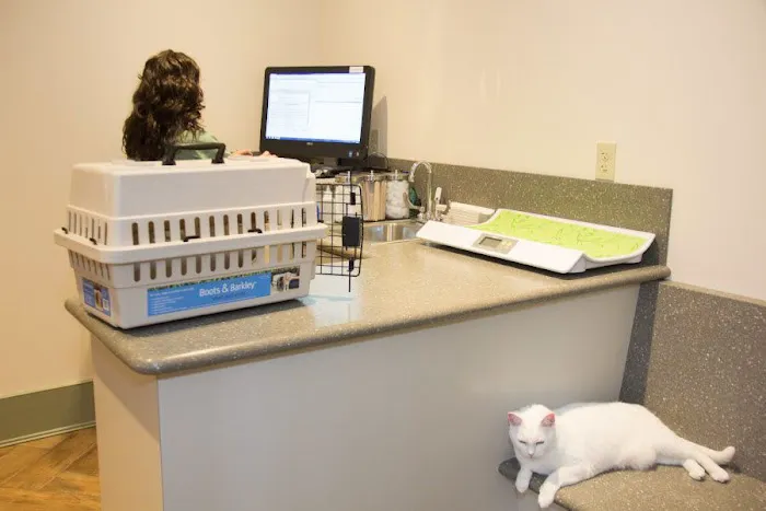 The Village Veterinary Center Picture 6