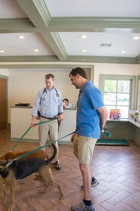 The Village Veterinary Center Picture 5