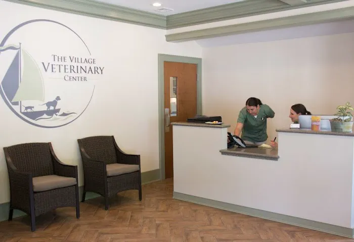 The Village Veterinary Center Picture 4