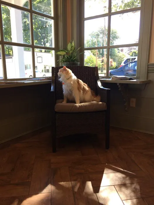 The Village Veterinary Center Picture 8