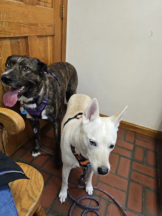 Greenwich Bay Animal Hospital Picture 5