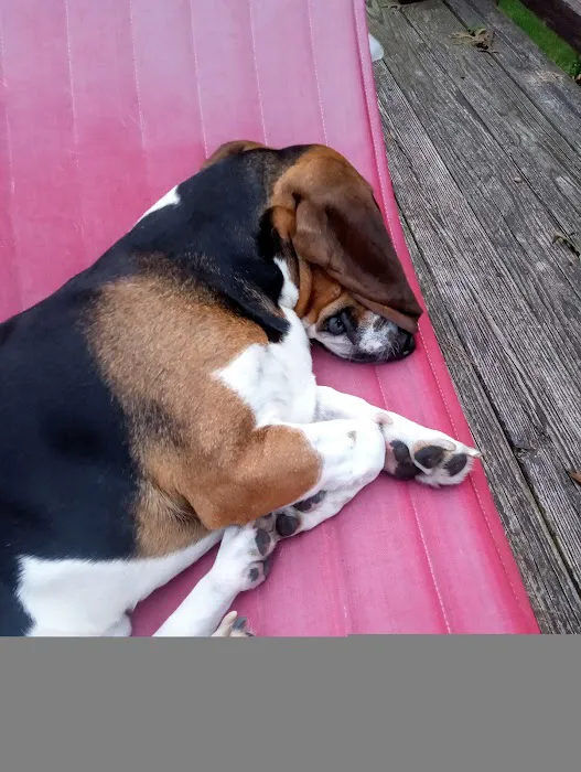 Greenwich Bay Animal Hospital Picture 9