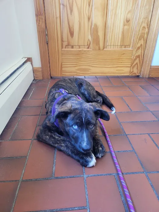 Greenwich Bay Animal Hospital Picture 7