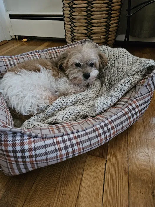 Mercy Animal Hospital Picture 4