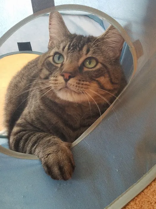 Mercy Animal Hospital Picture 2